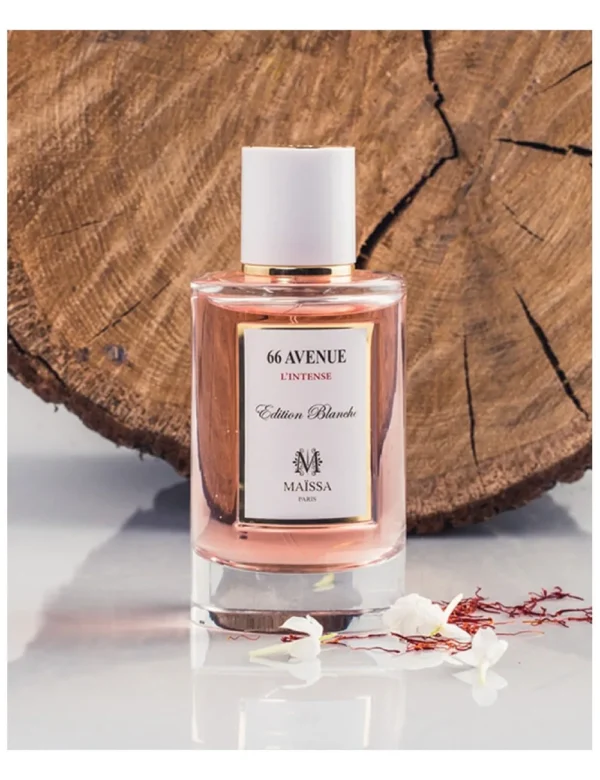 88129 bwsm ywnysqs Unisex myyyswn myysh 66 bnyw .d.p 100 ml Maissa 66 avenue E.D.P 100ml.jpg (1)