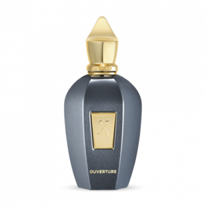 ouverture 100ml eau de parfum