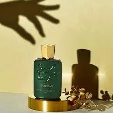 images 2025 02 13T113108.449