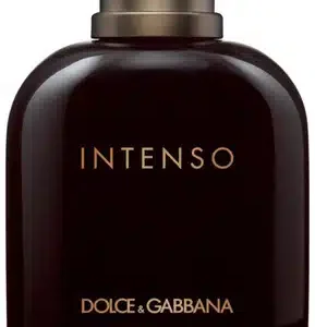טסטר דולצה וגבאנה אינטנסו א.ד.פ Tester Dolce amp Gabbana Pour Homme Intenso Eau de Parfum 125ml libero