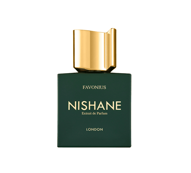 צילום מסך 2025 10 29 105243