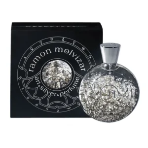 RamonMolvizarArt Silver