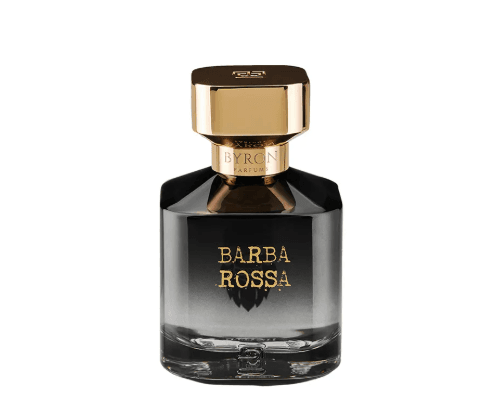 צילום מסך 2026 02 04 143000