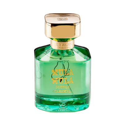 צילום מסך 2026 02 04 144420