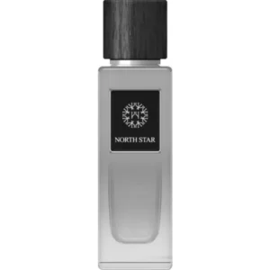 טסטר דה וודס קולקשן נורז סטאר אדפ TESTER THE WOOD COLLECTION NORTH STAR EDP 100ML libero