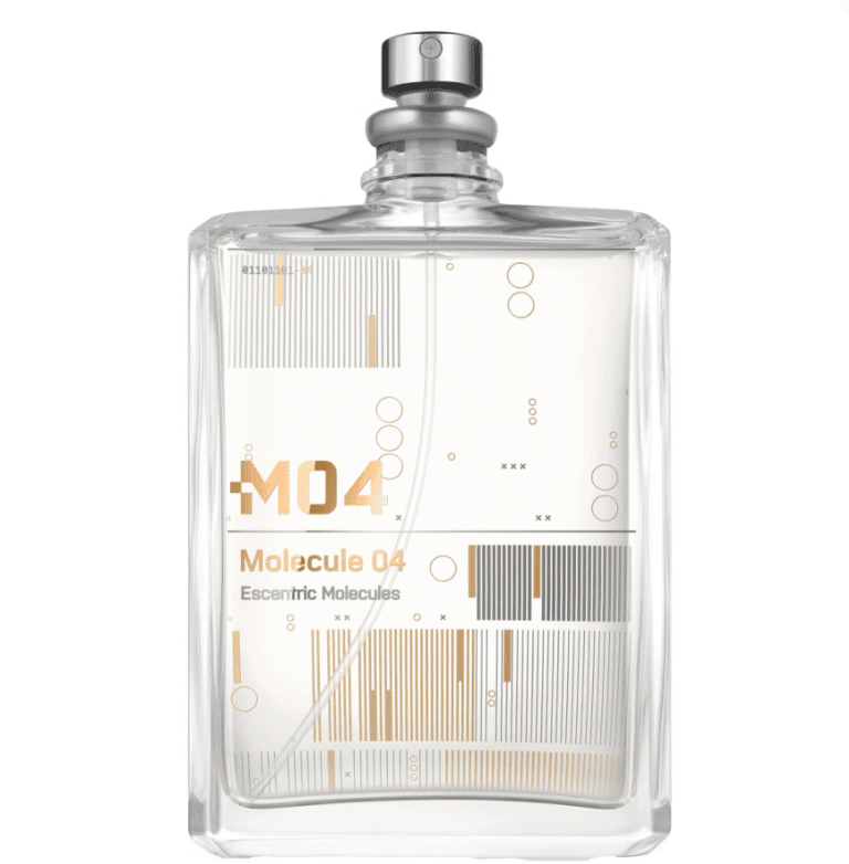 צילום מסך 2025 10 26 143756