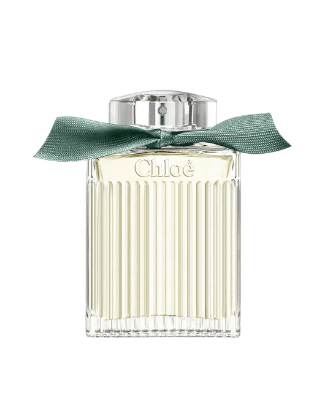 צילום מסך 2025 10 30 134405