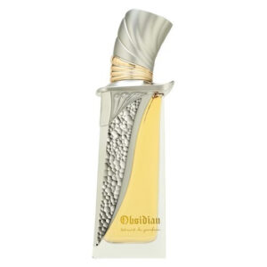 french avenue unisex obsidian extrait de parfum spray 34 oz fragrances 6298042001879 300x300